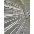 a and H Type Battery Poultry Cages for Longer Use